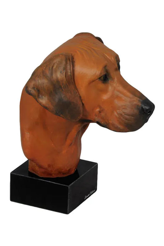 Bemalte Rhodesian Ridgeback Figur in Braun von Art-Dog aus Kunstharz - Bild 2