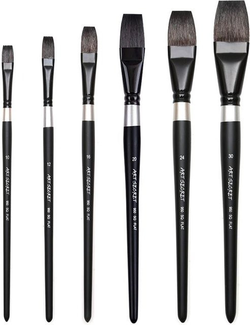 Dainayw Art Supplies Künstlerpinsel Set aus Eichhörnchenhaar mit flachem Kopf, 6er Set in Schwarz für Aquarell, Gouache und Acryl, Größen: #10, #12, #16, #20, #24, #30 - Bild 1