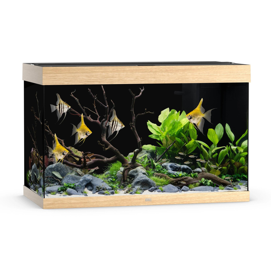Juwel Aquarium Rio 290 LED mit hellem Holz - Bild 2