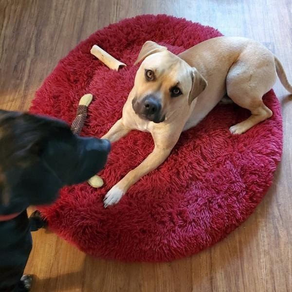 Flauschiges Hundebett von JulyQi in Weinrot, rundes und waschbares Haustierkissen mit erhöhtem Rand aus Samtstoff - Bild 1