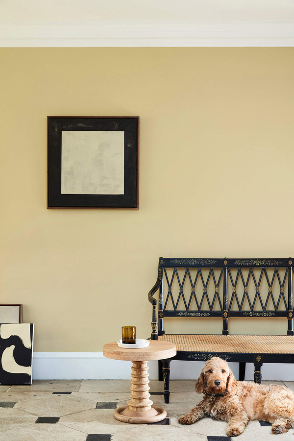 Little Greene Absolute Matt Emulsion Wandfarbe Oak Apple 63 Grün-Gelb 10 l - Bild 1