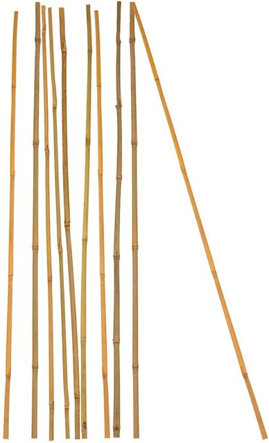 BigDean 10er Set Bambus Pflanzstäbe Natur als Rankhilfe, Höhe: 105 cm, Durchmesser: 8 bis 10 mm - Bild 1