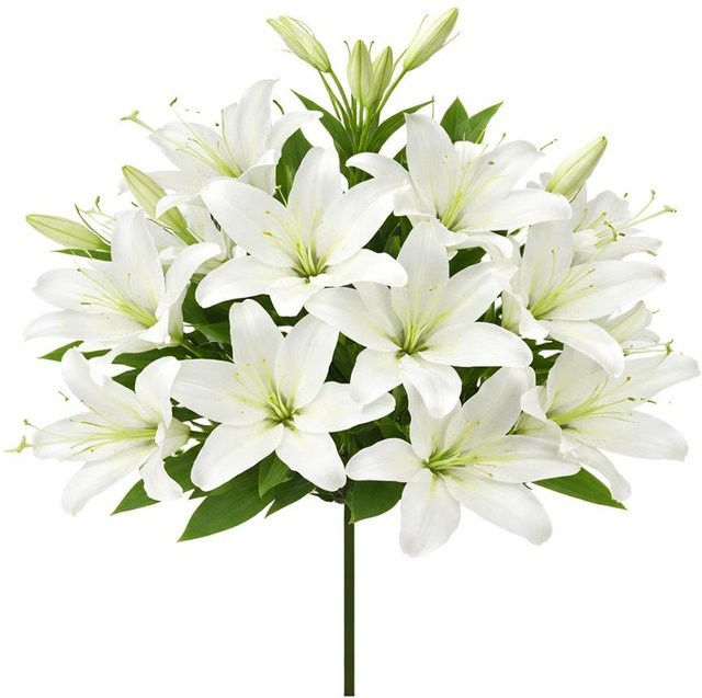 Bloom Play Künstliche Lilien als Blumengesteck in Weiß mit 18 Köpfen für DIY-Dekorationen - Bild 1