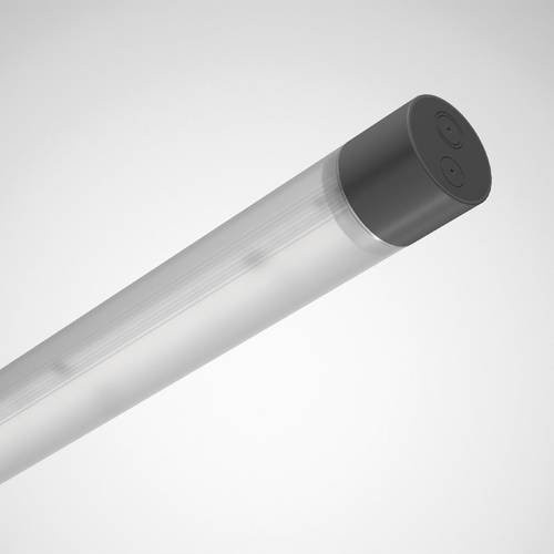 Trilux LED-Feuchtraumleuchte in Weiß und Grau mit Zylinderprofil - Bild 1