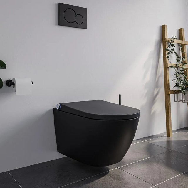 Bernstein DUSCH-WC PREMIUM 1102 Komplettset mit Entkalkungsfunktion in Schwarz Matt - Bild 1