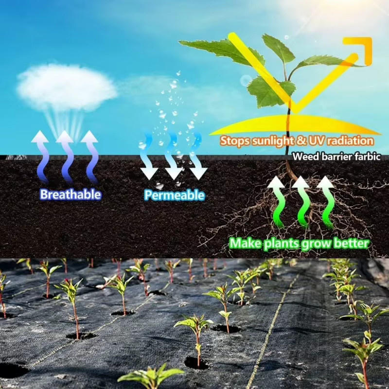 Robuste Unkrautbarriere als schwarzer Landschaftsstoff für deine Gartenabdeckung - Bild 3