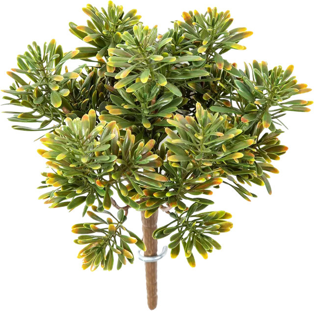 Künstliches Greiskraut Hope von Aplanta, Höhe: 18 cm - Bild 1