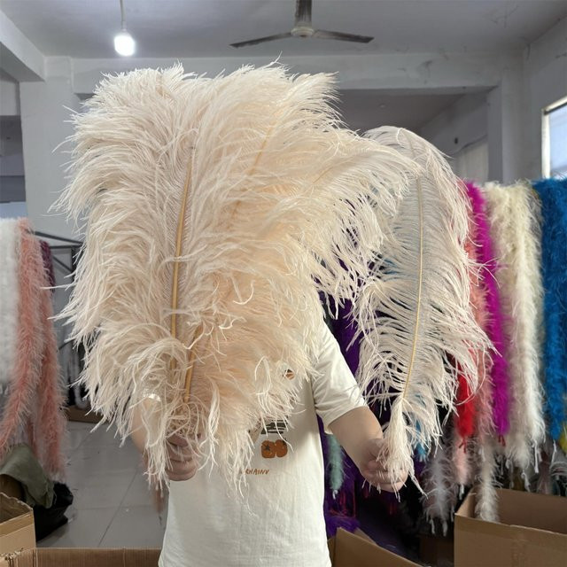 10 Stück Straußenfedern von XQ We Wantice in Weiß und Beige für Basteln, Party und Hochzeit als Tischdekoration, Länge: 55-60 cm - Bild 1