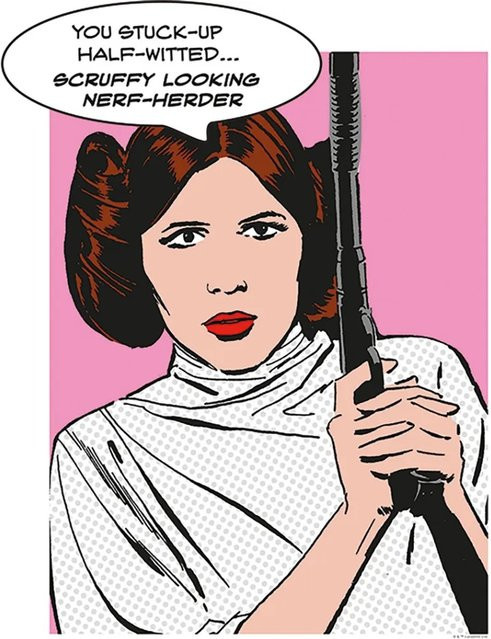 Komar Star Wars Wandbild Leia Multicolor B: 40 cm, H: 50 cm - Bild 1