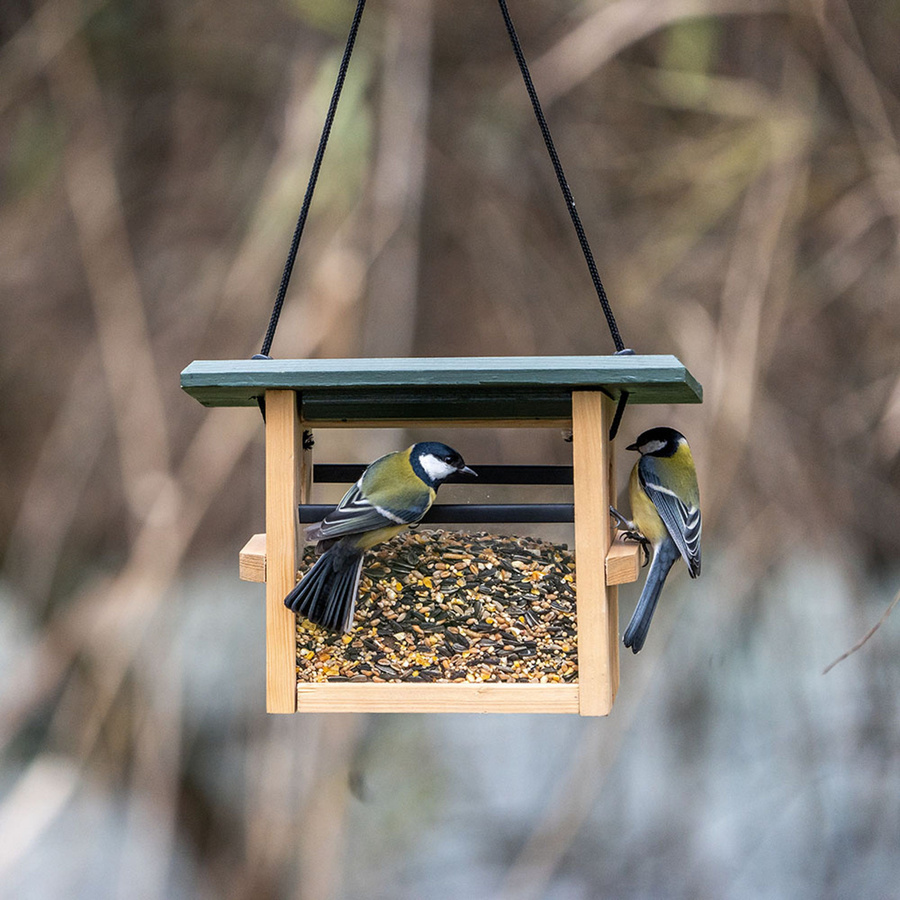 CJ Wildlife Futterhaus Eindhoven für kleine Vögel zum Aufhängen in Grün und Braun - Bild 3