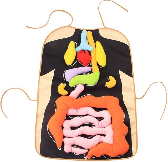 Toys-Glory Fourall 3D-Organ-Schürze, Anatomie-Schürze, Schwarz - Bild 1