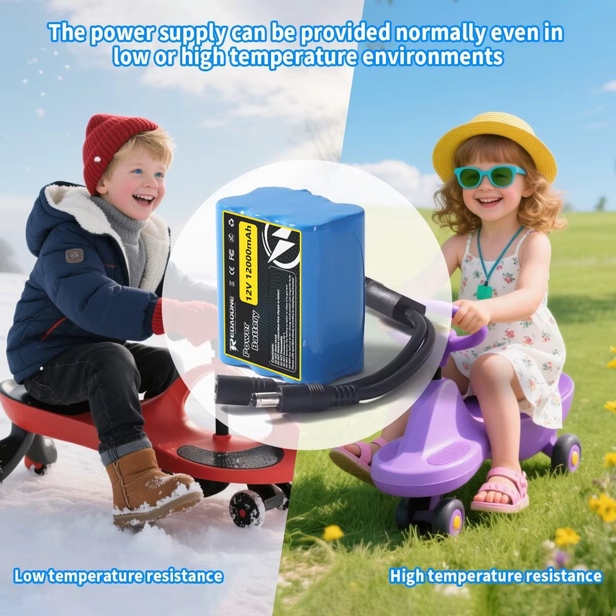 Reoaoone Wiederaufladbarer 12V 12000mAh Lithium-Ionen-Akku 3S2P mit BMS-Schutz in Blau - Bild 6