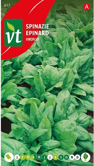 Arborix Spinat Viroflay Saatgut großblättrig 14 g - Bild 1