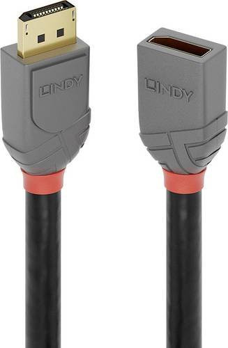 Lindy DisplayPort Verlängerungskabel Anthrazit 1,00 m - Bild 1