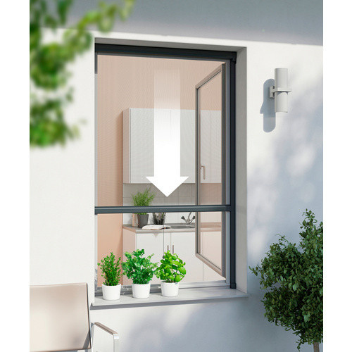 WINDHAGER Insektenschutz Rollo für Fenster, Breite: 100 cm, Höhe: 160 cm, schwarz - Bild 2