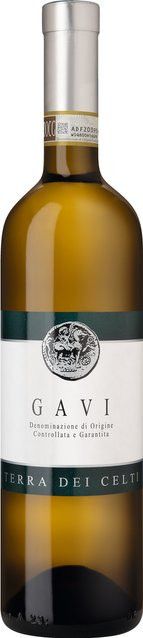 Roberto Sarotto Weißwein Cortese, 2025, Piemont, trocken, 0,75 l - Bild 1