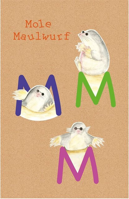 Komar Wandbild ABC Animal Poster für Kinder, Mehrfarbig, Breite: 50 cm, Höhe: 70 cm - Bild 1