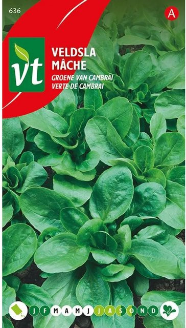 Arborix Feldsalat Grüner Cambrai Samen für Herbst und Winter, 3 g - Bild 1