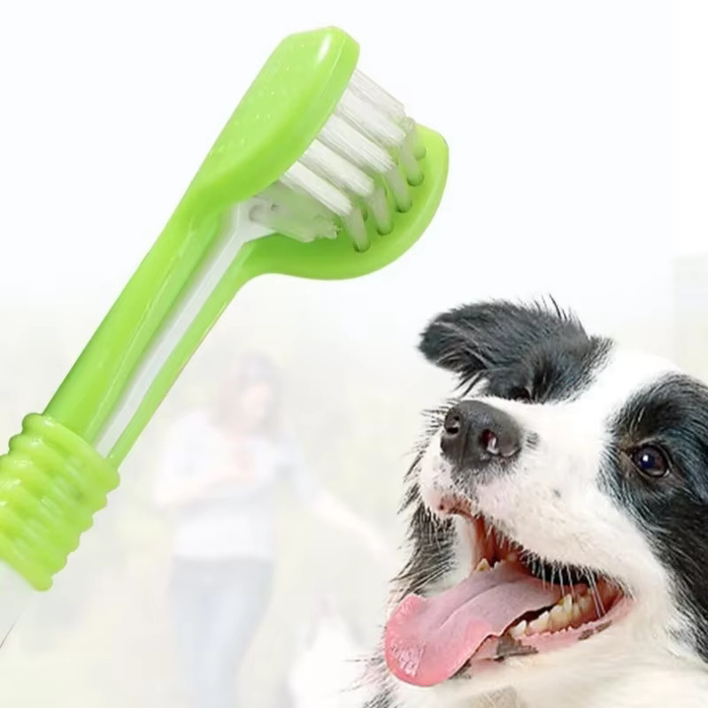 DUTRIEUX Drei-Kopf-Zahnbürste für Hunde und Katzen in Grün zur oralen Reinigung mit weichen Borsten - Bild 2