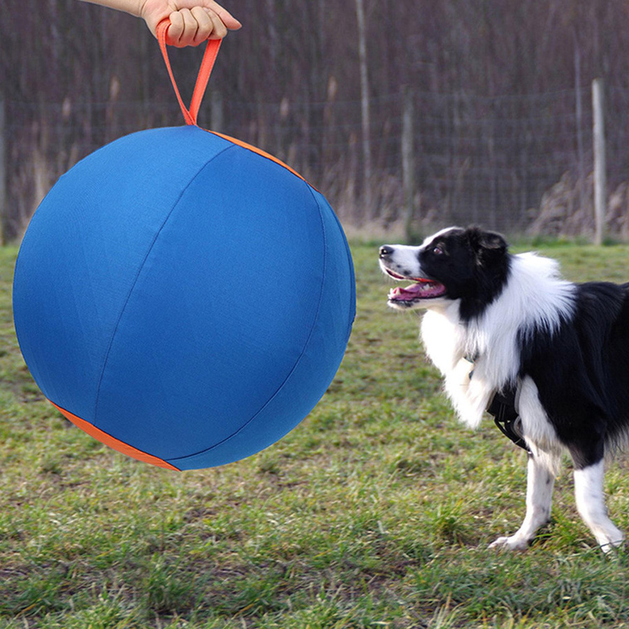 Water Loquat, Großer Treibball für Hunde, Outdoor-Spielzeug - Bild 2