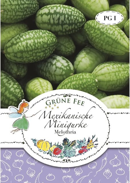 Grüne Fee Mexikanische Minigurke Melothria Saatgut für Gemüse - Bild 1