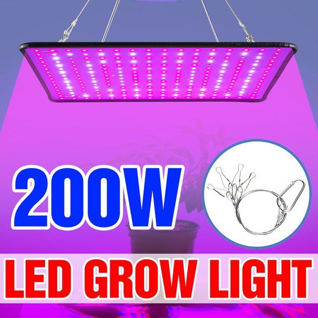 CanLing 200W LED Vollspektrum Quantum Board Anbau Lampe für Pflanzen im Innenbereich, Gewächshaus, Sukkulenten und Kakteen - Bild 1