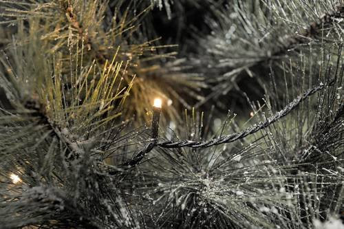 Konstsmide Micro LED Lichterkette mit 800 bernsteinfarbenen Leuchtmitteln für Innen und Außen - Bild 2