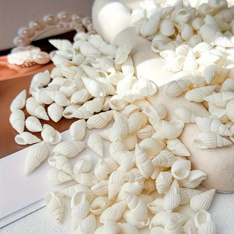 100 Stück Mini-Muscheln in Weiß mit unregelmäßiger Form für DIY-Bastelarbeiten und maritime Dekoration - Bild 1