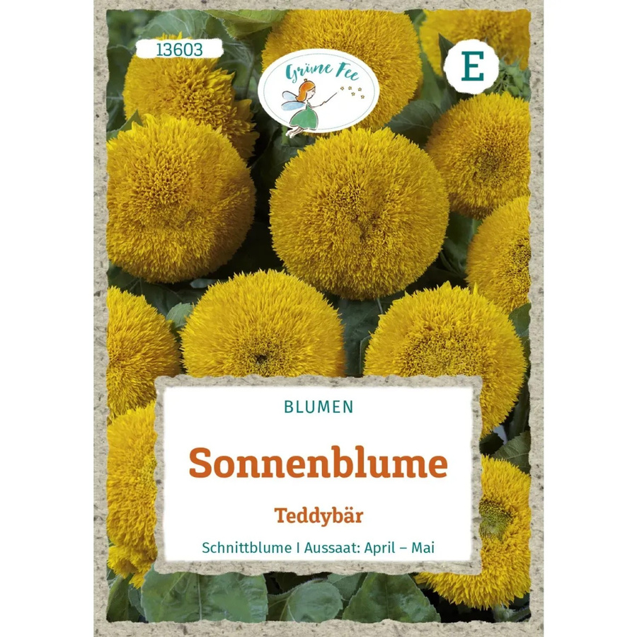 Grüne Fee Sonnenblume Teddybär Saatgut für Beete und Töpfe - Bild 2