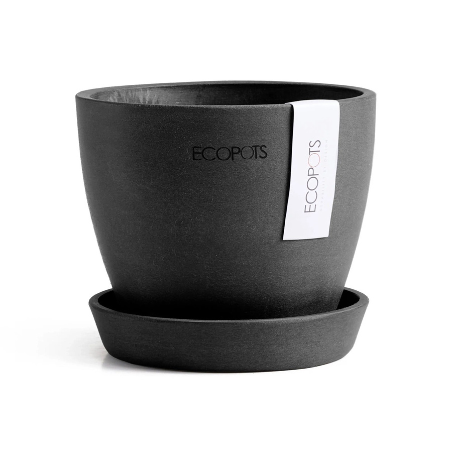 Ecopots Pflanztopf Antwerp Mini Dunkelgrau B: 11,5 cm, H: 10,1 cm, T: 10,1 cm - Bild 2