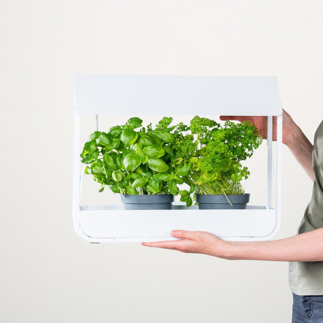 BLUME2000 Gewächshaus mit Licht Weiß für Balkon und Fensterbrett - Bild 1