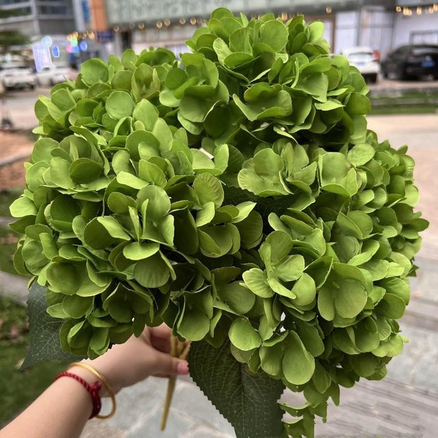 Künstliche Hortensienblume aus Seide mit 5 Köpfen in Grün für Hochzeit und Dekoration - Bild 1