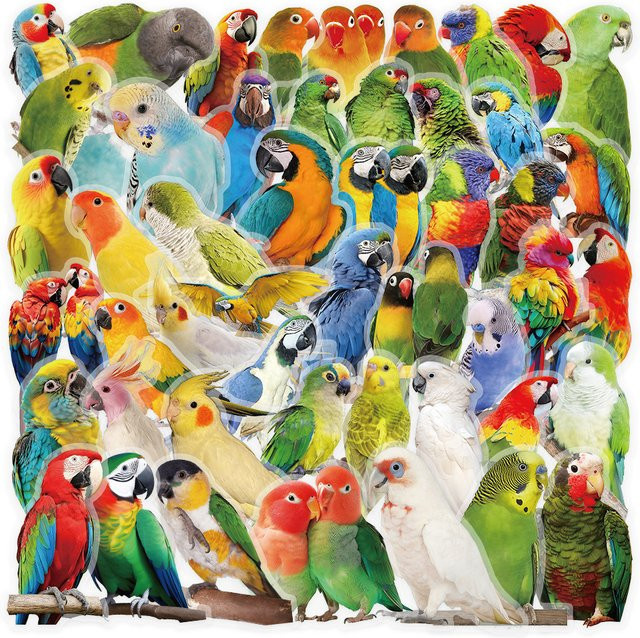 53 Stück Papageienmuster Aufkleber in Multicolour zur Dekoration von Tagebüchern und Sammelalben von RecordingYourLife Store - Bild 1
