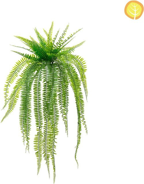 Künstlicher Boston Farn Johanna von Aplanta, Grün, Höhe: 65 cm - Bild 1