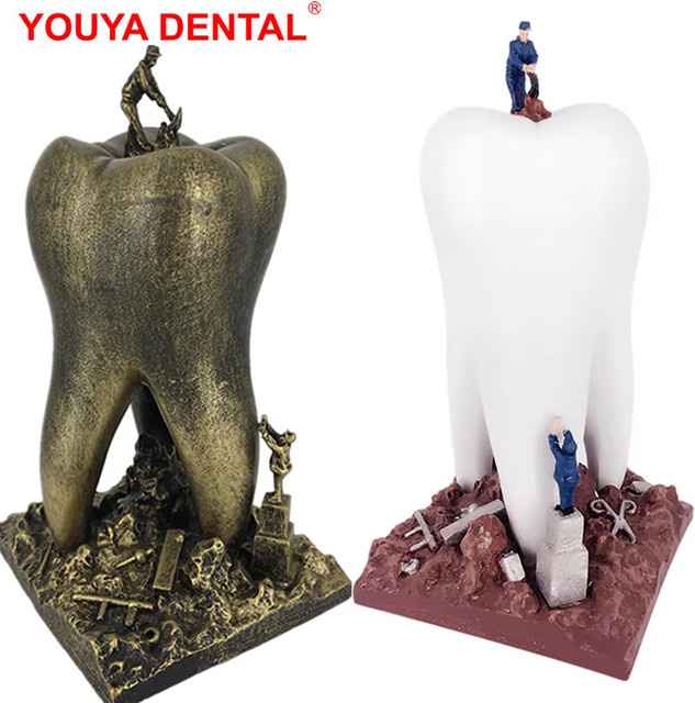 YOUYA DENTAL Zahnarzt-Dekoration Backenzahn-Figur aus Harz in Weiß als kreative Schreibtisch-Skulptur für die Zahnarztpraxis - Bild 1
