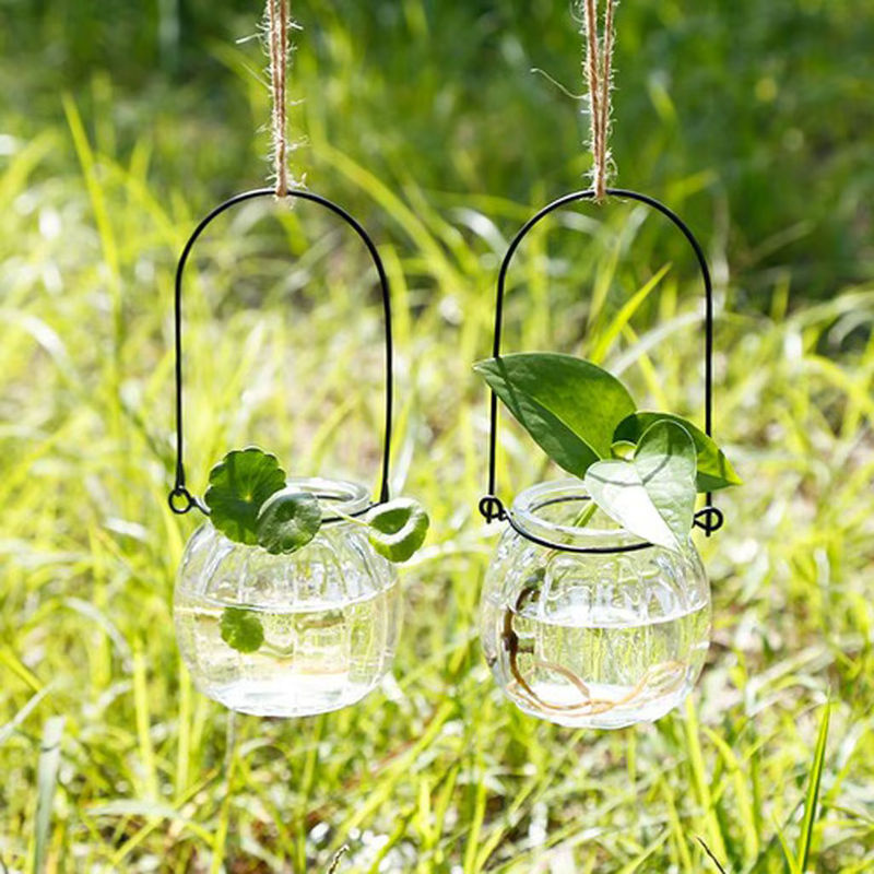 Kesoto Hängevase in Kürbisform aus Glas, transparent, bauchig für Blumen und Pflanzen - Bild 4