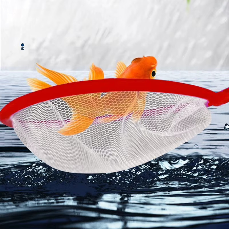 jooyoo Fischernetze mit Edelstahlstange, 10-teiliges Set, bunte, feinmaschige Fisch- und Garnelenfangwerkzeuge für Outdoor-Naturspiele - Bild 3