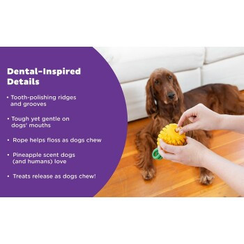 Planet Dog Dental Hundespielzeug - Bild 2