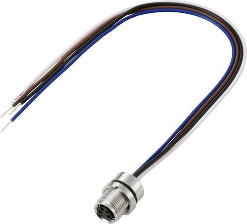TRU COMPONENTS Anschlussleitung TC-13751912 Schwarz, M8 x 1 und M10 x 0.75 Buchse, gerade, 4 Polzahl, Länge: 0,2 m - Bild 1