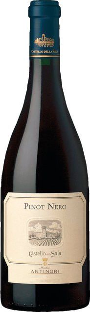 Marchesi Antinori Pinot Noir Rotwein, Umbrien, 2022, trocken, 0,75 l - Bild 1