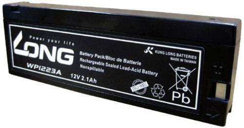 Long WP1223A Bleiakku 12V Blei-Vlies AGM Klemmpol Schwarz B/H/T: 182 x 61 x 23 mm - Bild 1