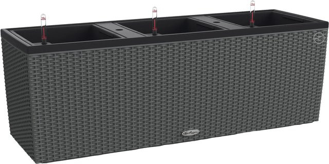 Lechuza Pflanzgefäß Trio Cottage in Granit, B/T/H: 100 x 32 x 34 cm - Bild 1