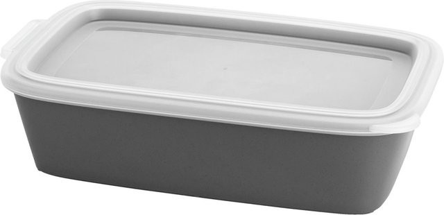koziol Mehrweg-Menübox Move, 10er Pack, grau, 1400 ml, B/T/H: 15,8 x 25,5 x 6,7 cm - Bild 1