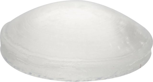 Wagner Elastikpuffer-Set EH3013 Transparent, 24-teilig, Durchmesser: 10 mm, Höhe: 3 mm - Bild 1