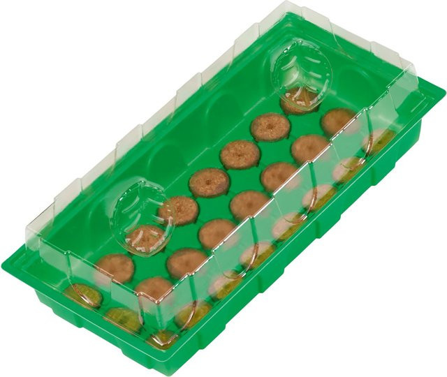 Grünes Zimmer-Gewächshaus inklusive 28 Quelltabs für Gewürze, Gemüsepflanzen und Blumen - Bild 1