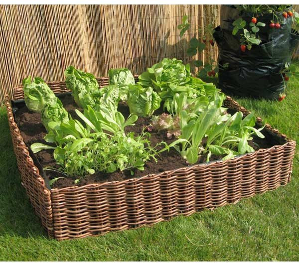 Hochbeet aus Weidengeflecht B/T/H: 80 x 80 x 20 cm - Bild 1