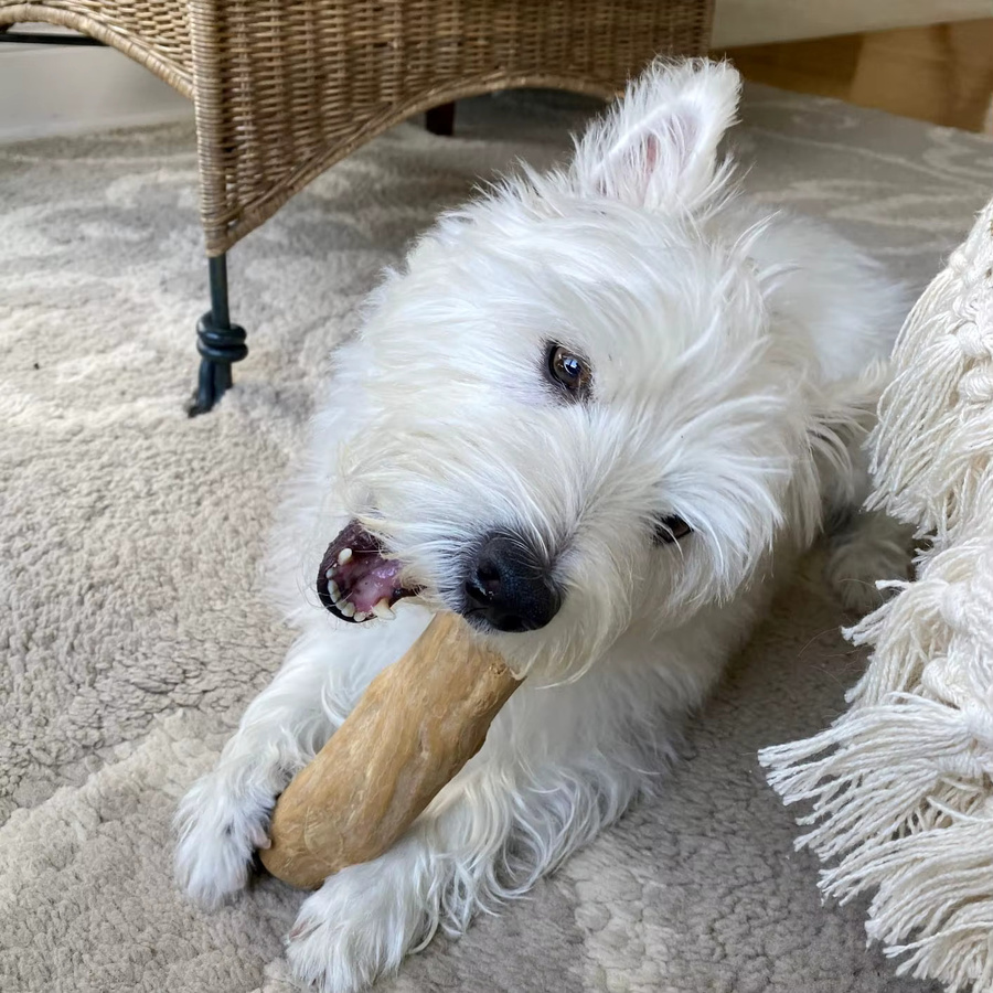 DLUFYEI Kaffeeholz-Kauspielzeug für Hunde, Splinterholz von Kaffeeplantagen - Bild 2
