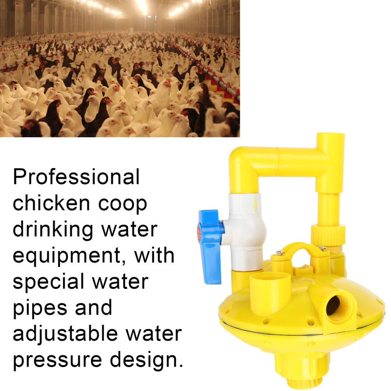 Professioneller Wasserdruckregler für Geflügelhühner-Trinkwassergeräte - Bild 2