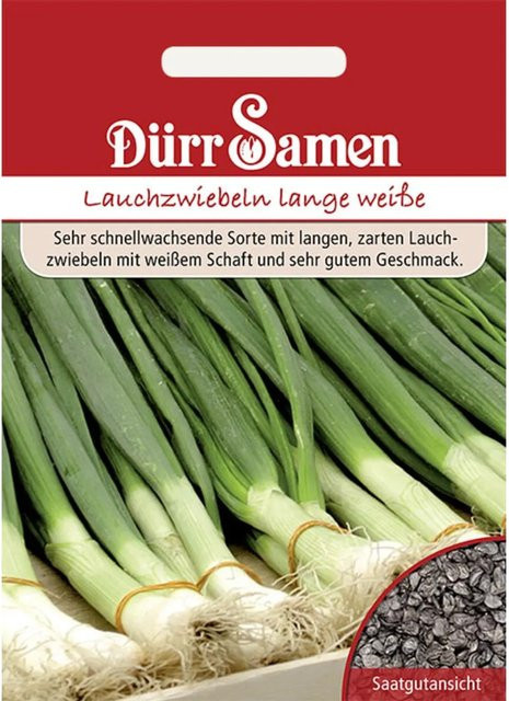 Dürr Lauchzwiebeln Kaigaroo Lange Weiße Saatgut 400 g - Bild 1