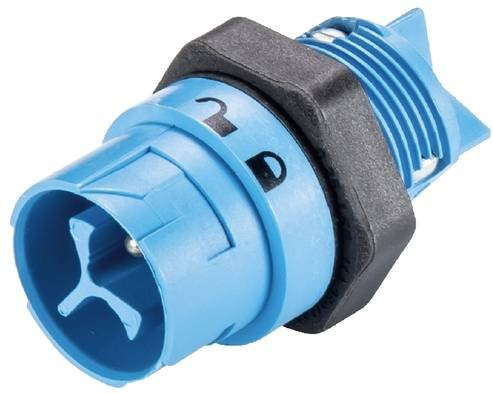 Wieland Electric 46.032.5053.9 Geräteanschluss in Blau - Bild 1